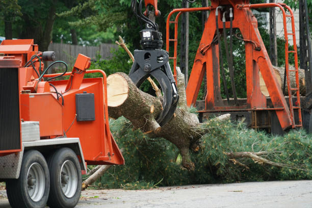 Lawn Drainage Solutions in Hillsboro, OH